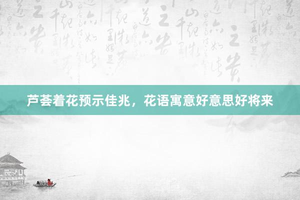 芦荟着花预示佳兆，花语寓意好意思好将来