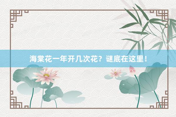 海棠花一年开几次花？谜底在这里！