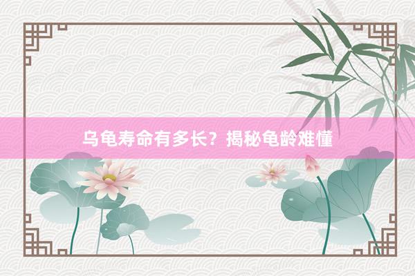 乌龟寿命有多长？揭秘龟龄难懂
